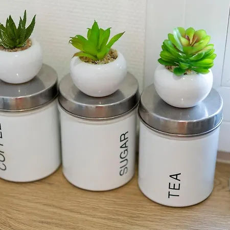 Your Place In Lh * 르아브르